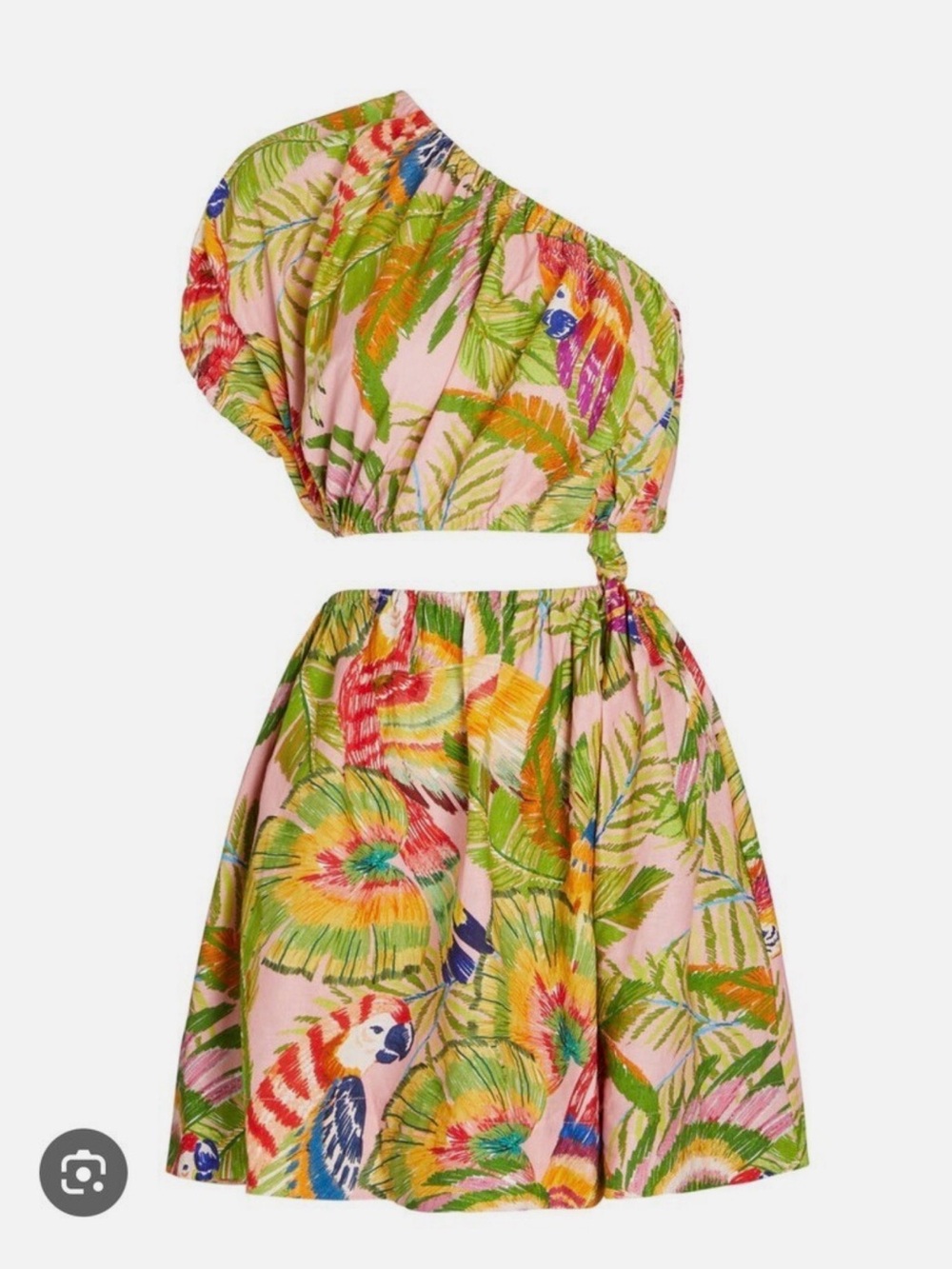 Farm Rio macaw leaves mini dress. Size large. - Picture 2 of 5